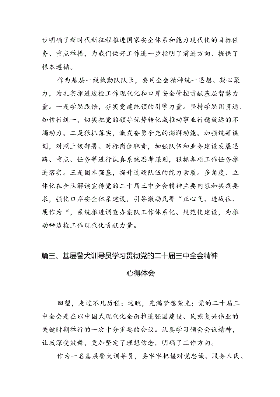 （10篇）治安管理大队大队长学习党的二十三中全会精神心得体会（详细版）.docx_第3页