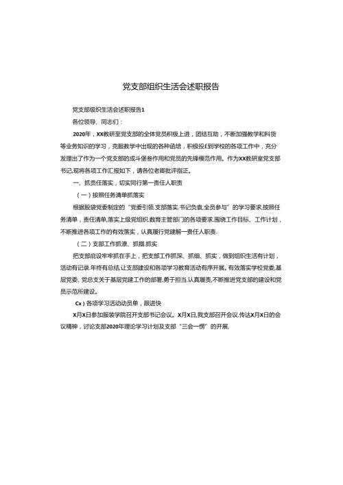 党支部组织生活会述职报告.docx