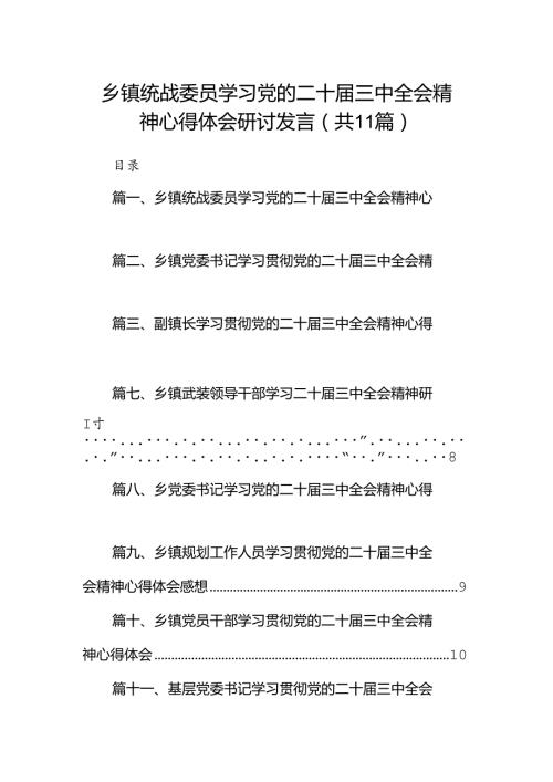 （11篇）乡镇统战委员学习党的二十三中全会精神心得体会研讨发言汇编.docx