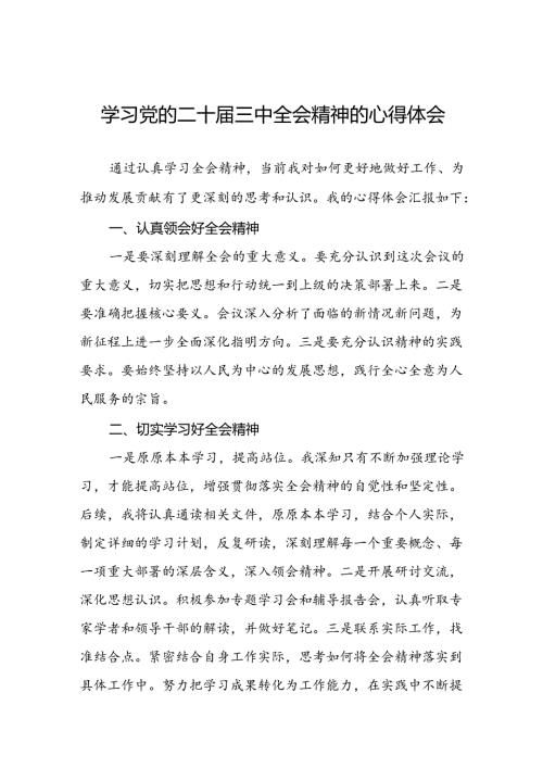 二十三中全会精神心得体会发言三十五篇.docx