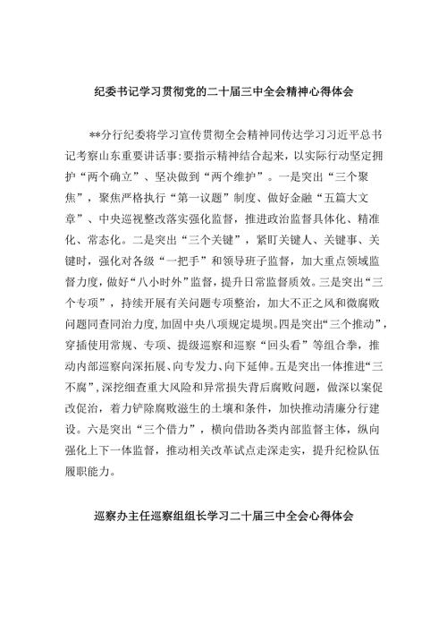 纪委书记学习贯彻党的二十三中全会精神心得体会5篇（详细版）.docx