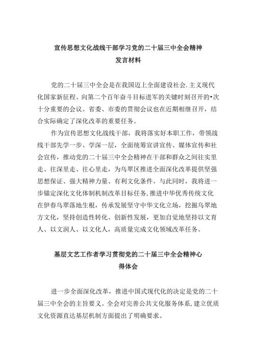 （9篇）宣传思想文化战线干部学习党的二十三中全会精神发言材料（精选）.docx