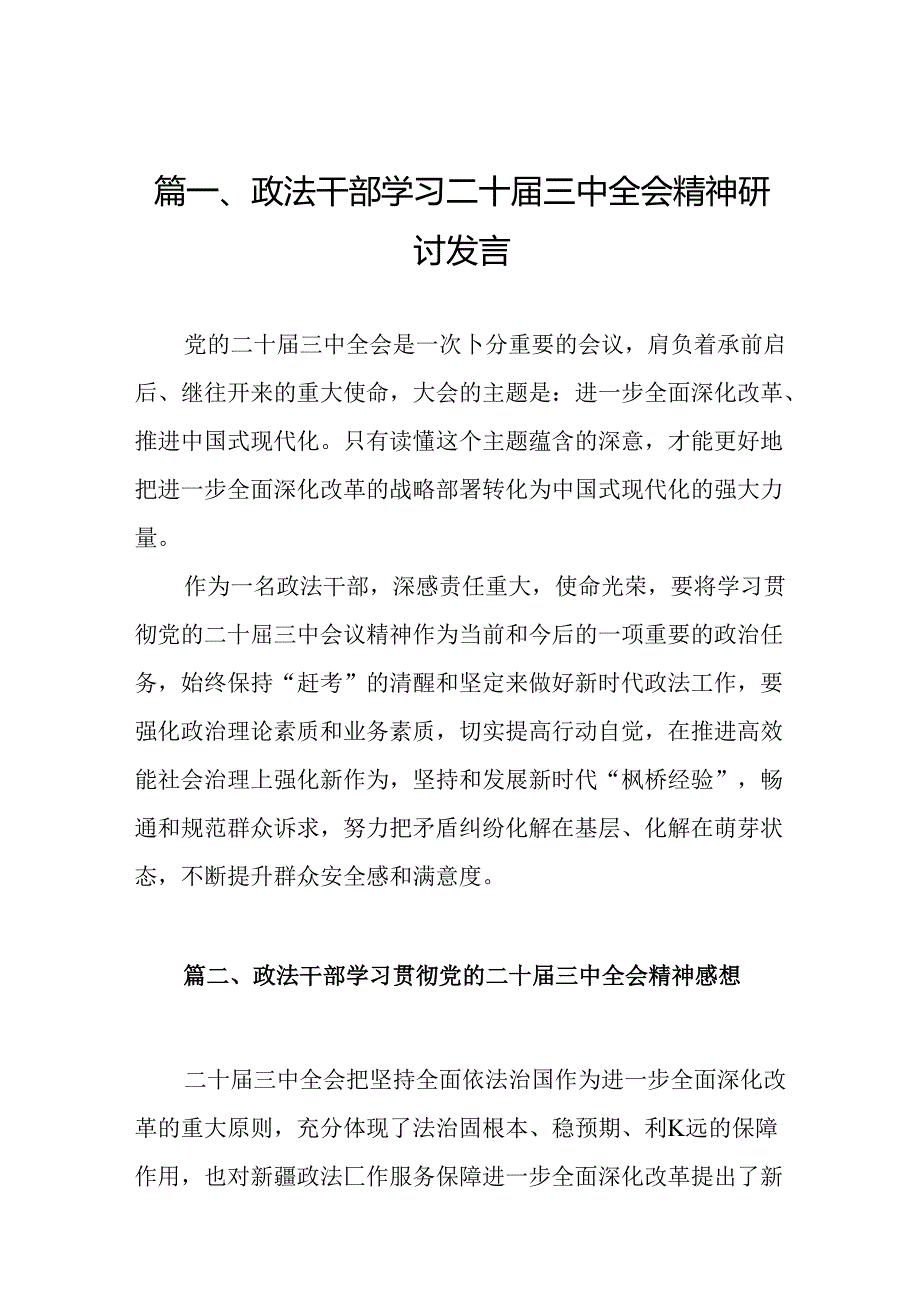 （10篇）政法干部学习二十三中全会精神研讨发言集合.docx_第2页