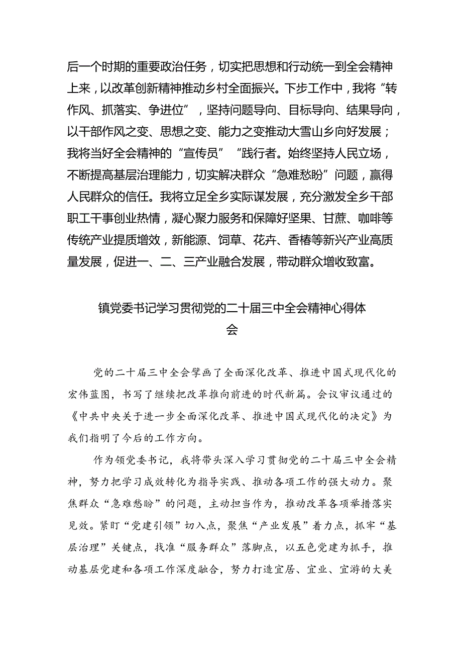 （9篇）乡党委副书记学习贯彻党的二十三中全会精神心得体会（详细版）.docx_第2页