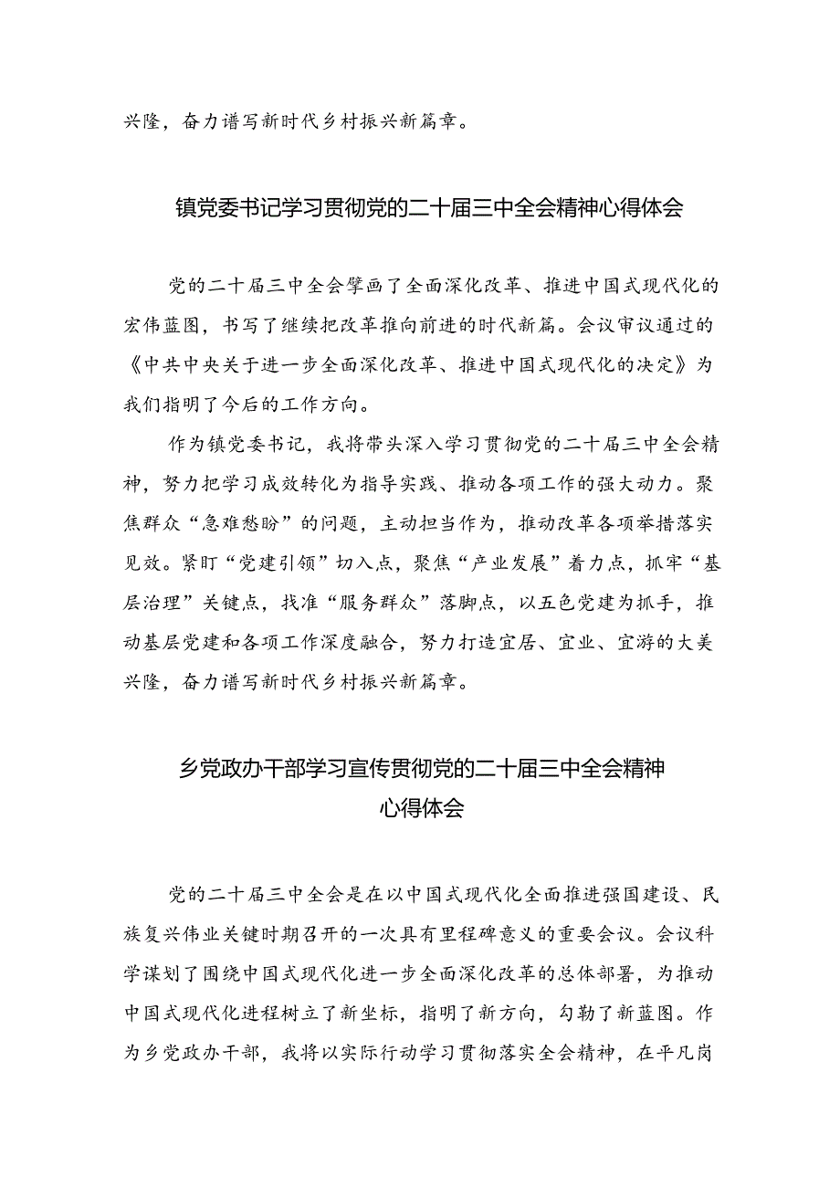 （9篇）乡党委副书记学习贯彻党的二十三中全会精神心得体会（详细版）.docx_第3页