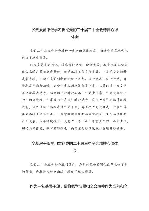 （9篇）乡党委副书记学习贯彻党的二十三中全会精神心得体会（详细版）.docx
