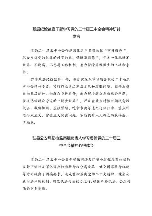 （9篇）基层纪检监察干部学习党的二十三中全会精神研讨发言（详细版）.docx