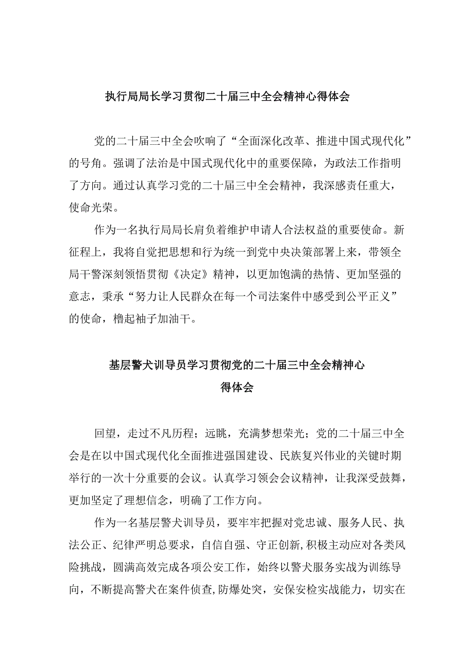 （11篇）执行局局长学习贯彻二十三中全会精神心得体会（最新版）.docx_第1页