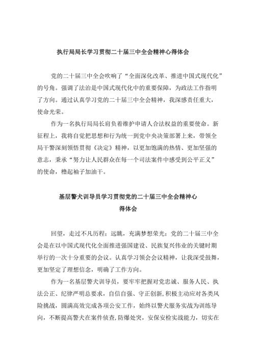 （11篇）执行局局长学习贯彻二十三中全会精神心得体会（最新版）.docx