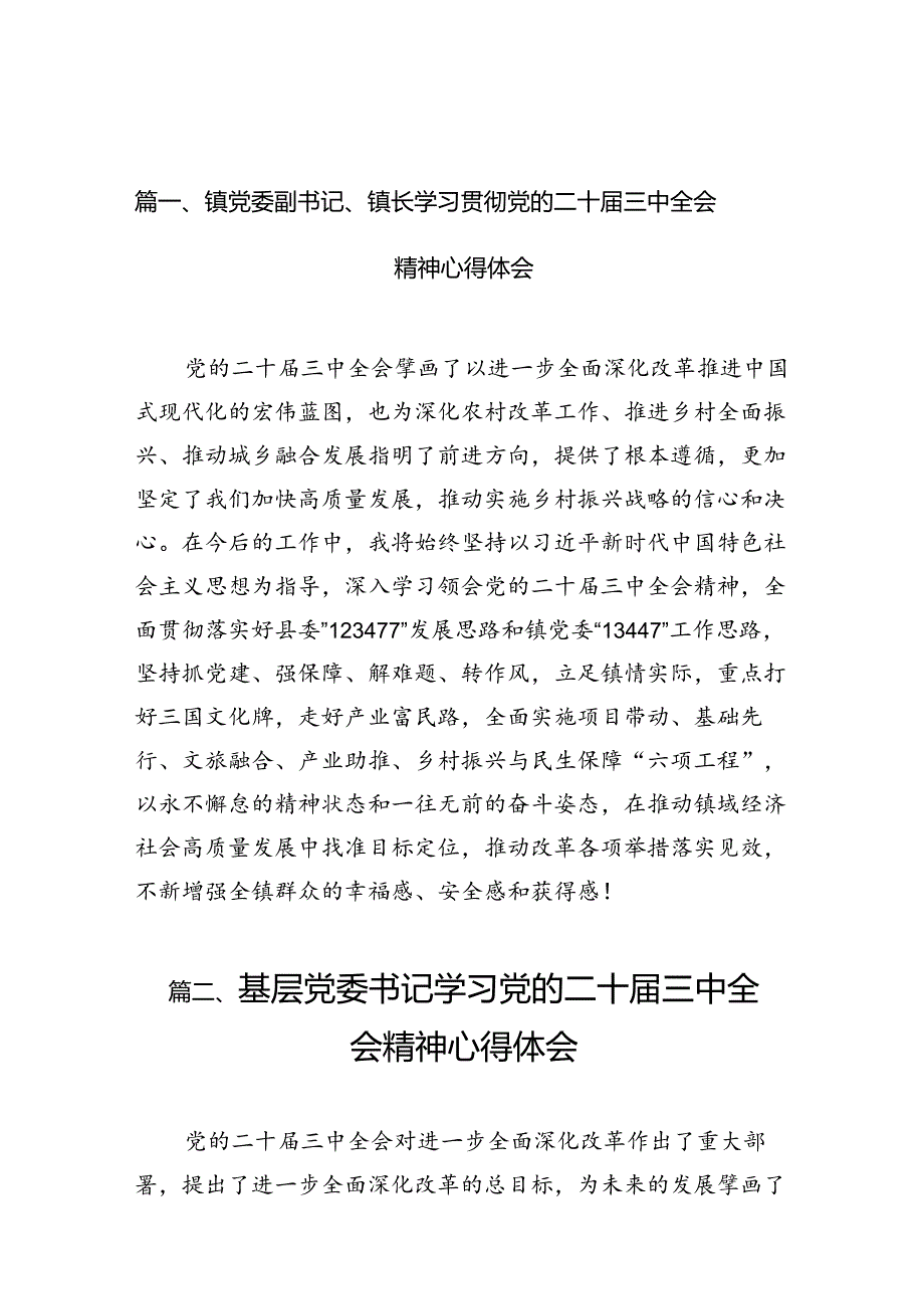 （10篇）镇党委副书记、镇长学习贯彻党的二十三中全会精神心得体会（最新版）.docx_第2页