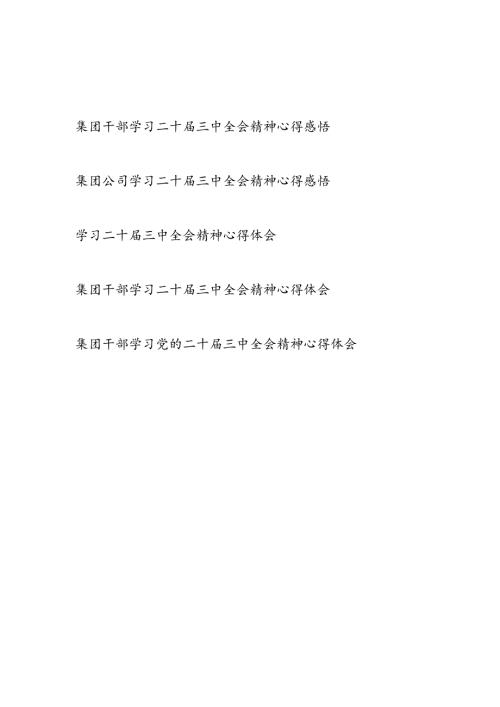 集团干部学习二十三中全会精神心得体会感悟.docx