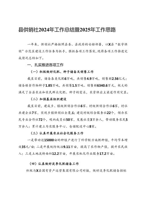 县供销社2024年工作总结暨2025年工作思路.docx