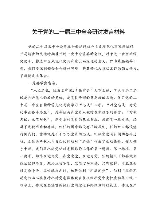 关于党的二十三中全会研讨发言材料.docx