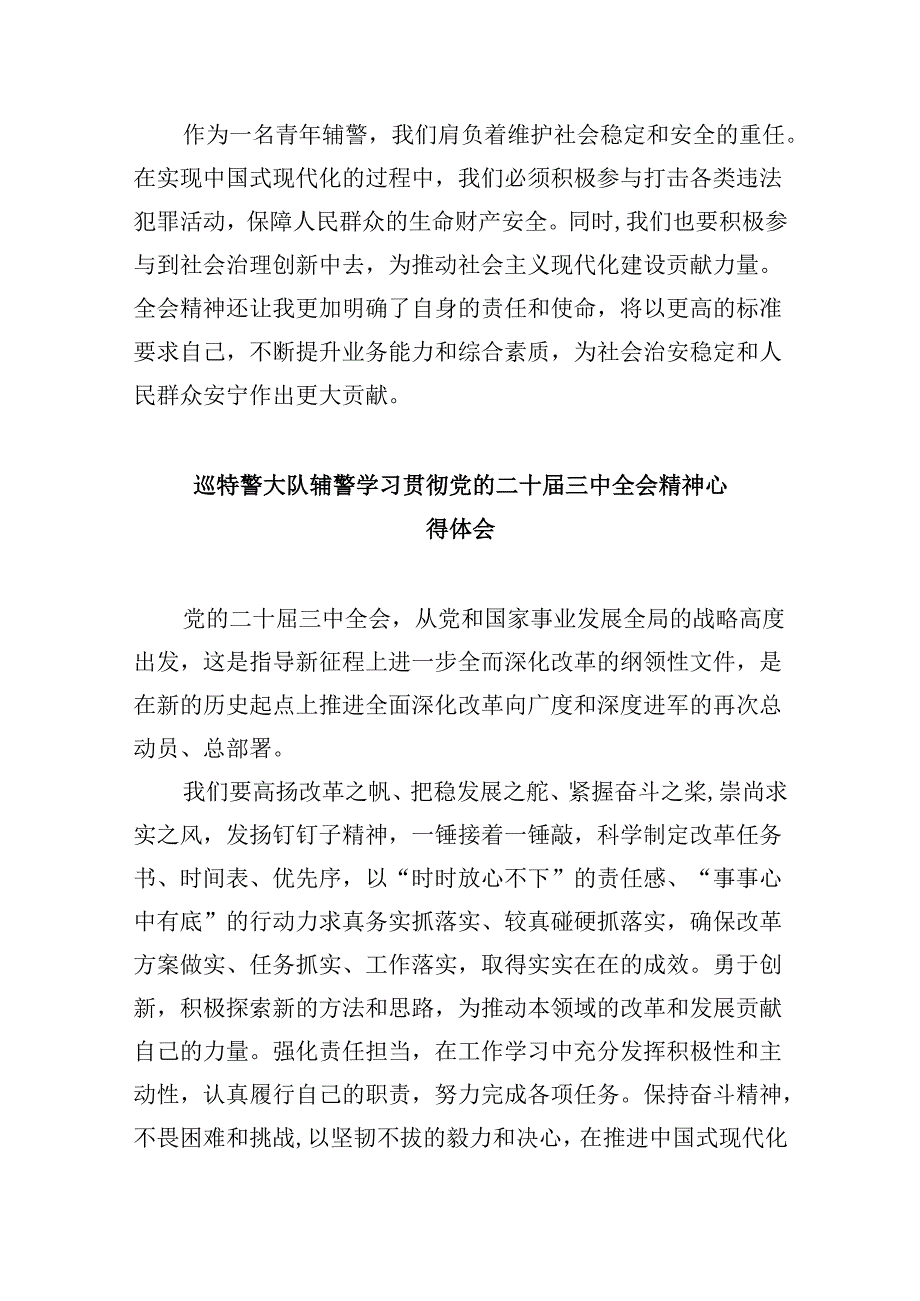 （11篇）辅警学习二十三中全会精神研讨发言材料范文.docx_第3页