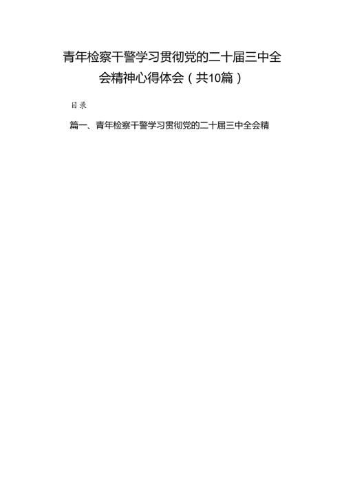 （10篇）青年检察干警学习贯彻党的二十三中全会精神心得体会范文精选.docx