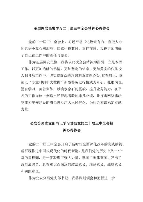 （11篇）基层网安民警学习二十三中全会精神心得体会范文.docx