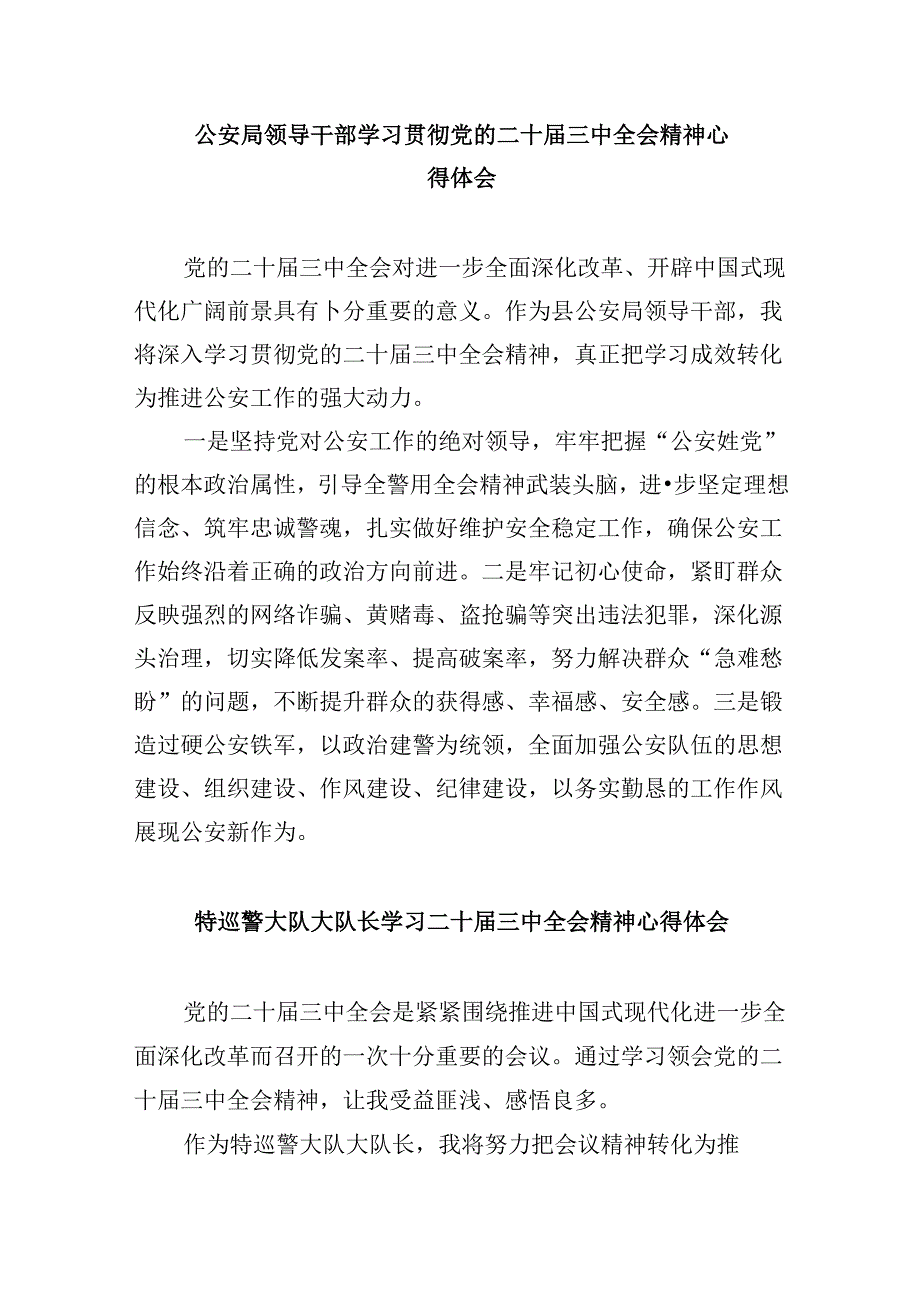 （11篇）基层网安民警学习二十三中全会精神心得体会范文.docx_第3页