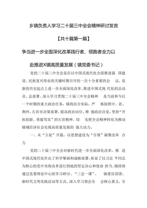 （10篇）乡镇负责人学习二十三中全会精神研讨发言.docx