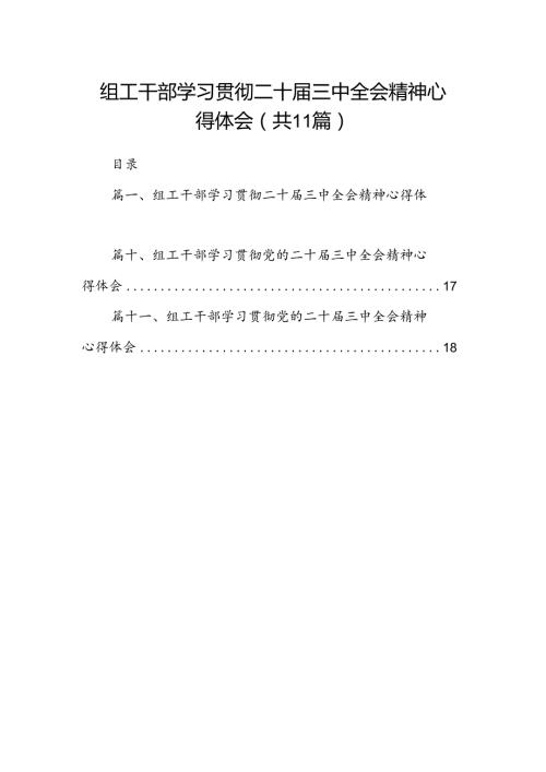 （11篇）组工干部学习贯彻二十三中全会精神心得体会（精选）.docx