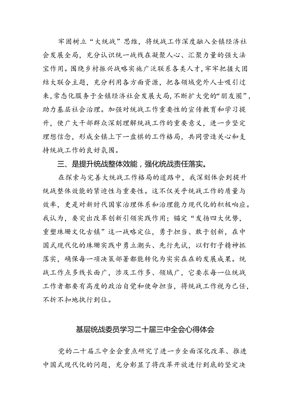 （9篇）统战委员学习贯彻二十三中全会精神心得体会（精选）.docx_第2页