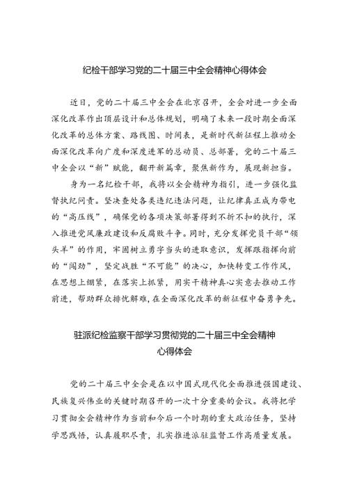 （9篇）纪检干部学习党的二十三中全会精神心得体会范文.docx