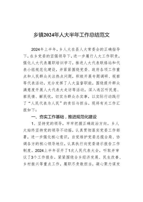 2024年人大半年工作总结汇报报告.docx