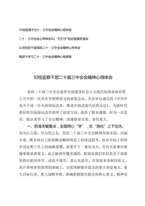 公司党员、集团干部、纪检监察干部二十三中全会精神心得体会.docx