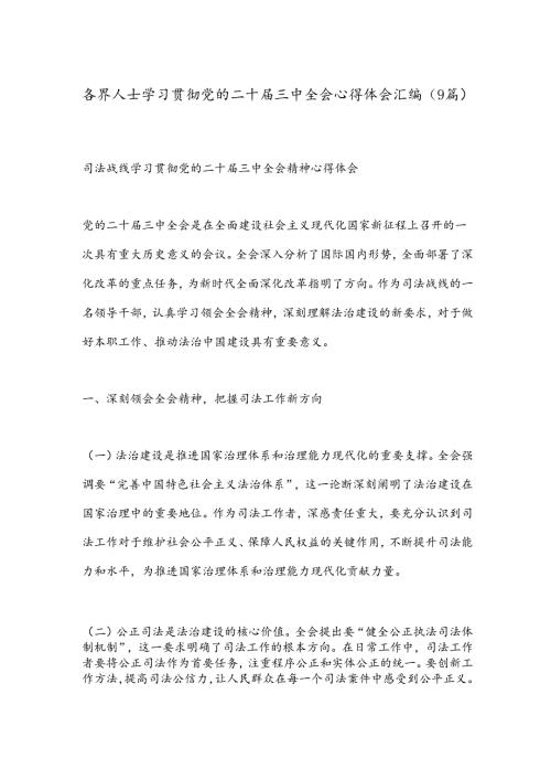 （9篇）各界人士学习贯彻党的二十三中全会心得体会汇编.docx