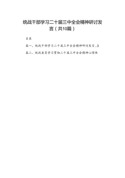 （10篇）统战干部学习二十三中全会精神研讨发言（精选）.docx