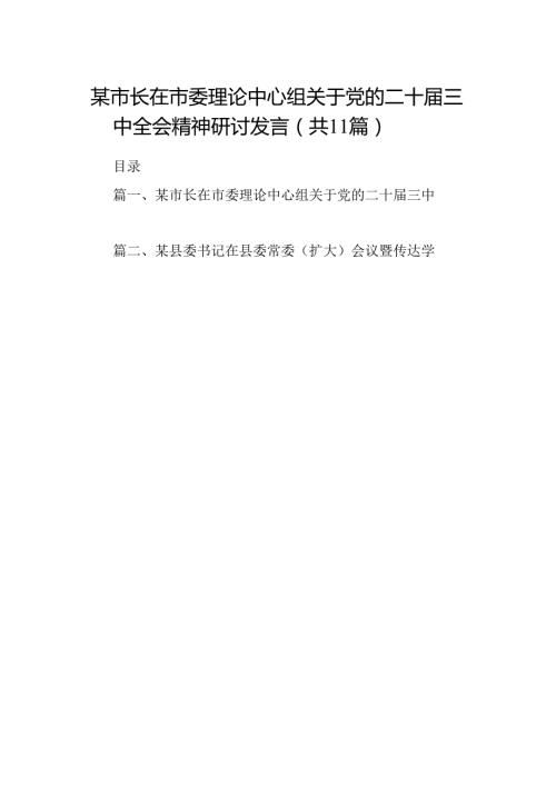 （11篇）某市长在市委理论中心组关于党的二十三中全会精神研讨发言（精选）.docx