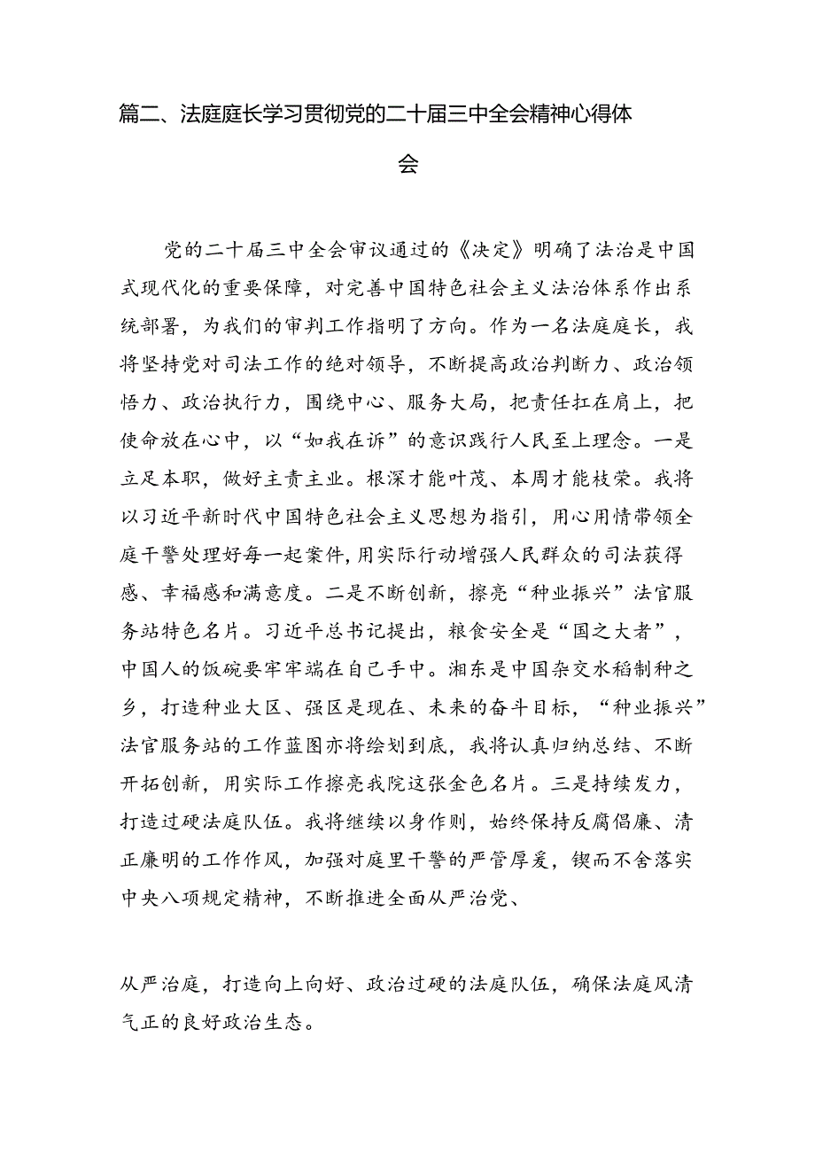 （10篇）法庭庭长学习二十三中全会精神心得研讨发言（精选）.docx_第3页