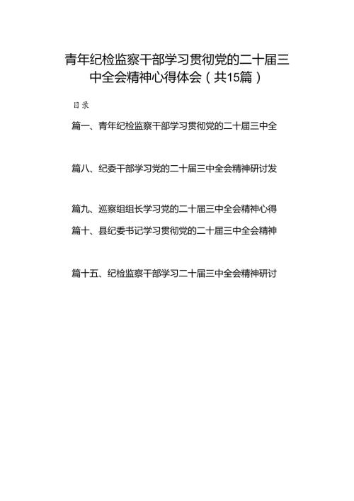 （15篇）青年纪检监察干部学习贯彻党的二十三中全会精神心得体会（详细版）.docx