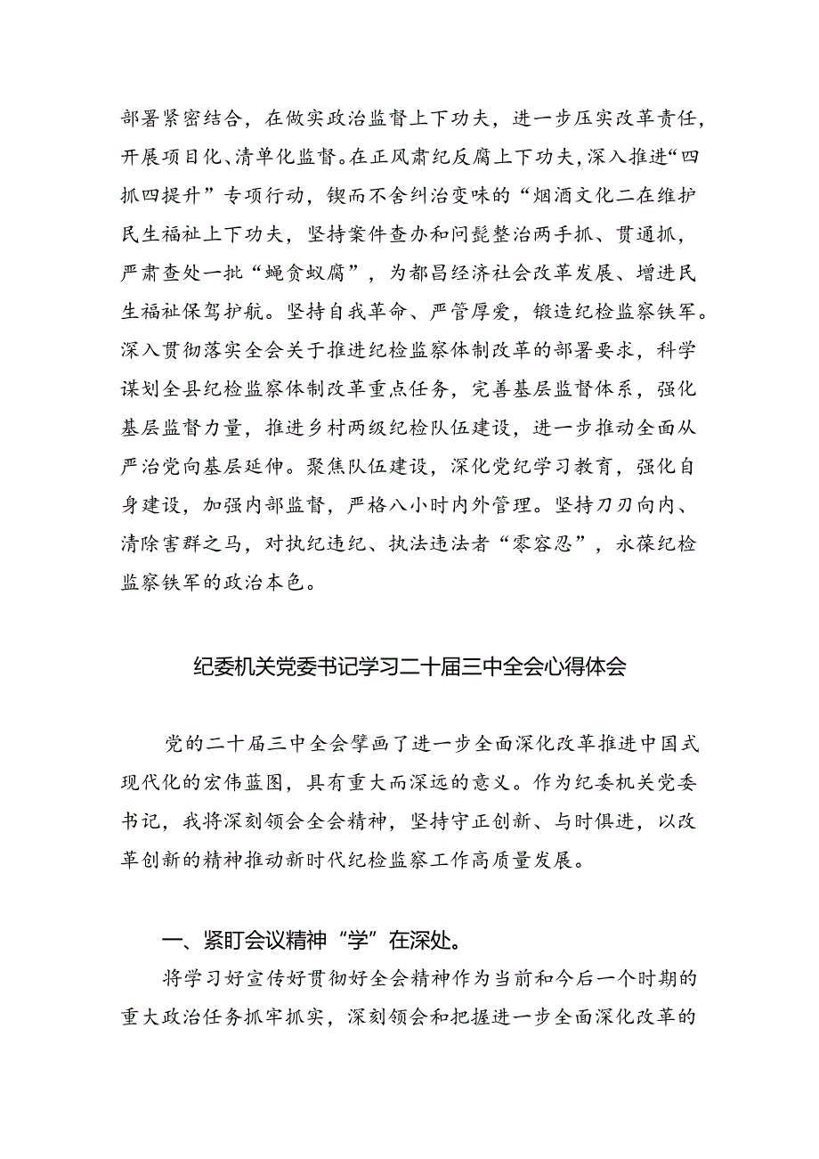 （9篇）基层纪检监察干部学习二十三中全会精神研讨发言材料（详细版）.docx_第3页