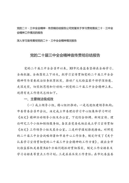 公司党委关于学习贯彻落实二十三中全会精神工作情况的报告.docx