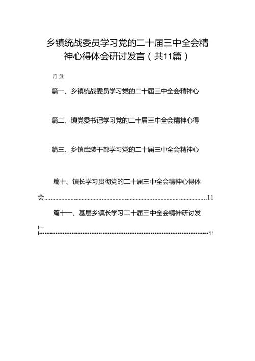 （11篇）乡镇统战委员学习党的二十三中全会精神心得体会研讨发言集合.docx