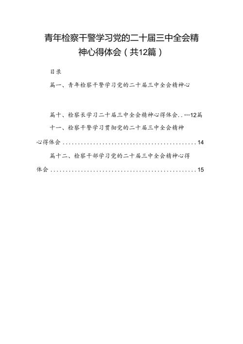 青年检察干警学习党的二十三中全会精神心得体会（共12篇）.docx