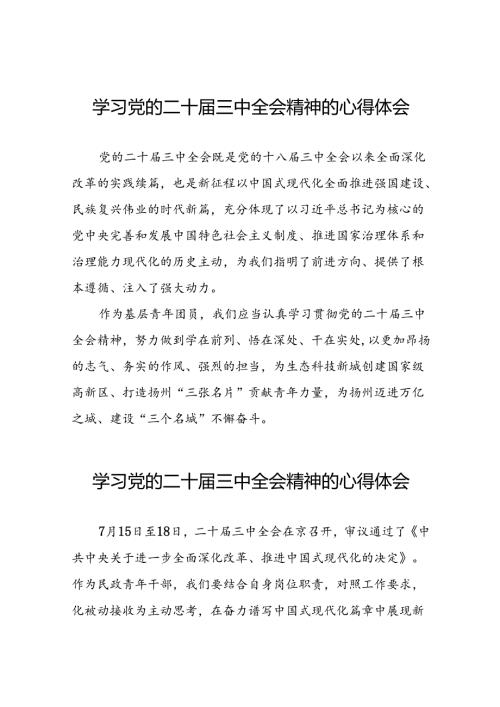 (精品31篇)学习党的二十三中全会精神的心得体会.docx