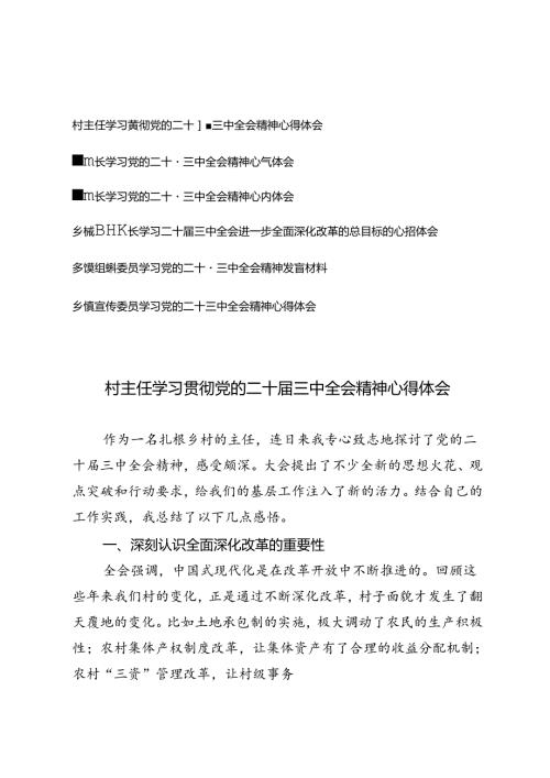 6篇 2024年副镇长学习党的二十三中全会精神心得体会感想研讨发言.docx