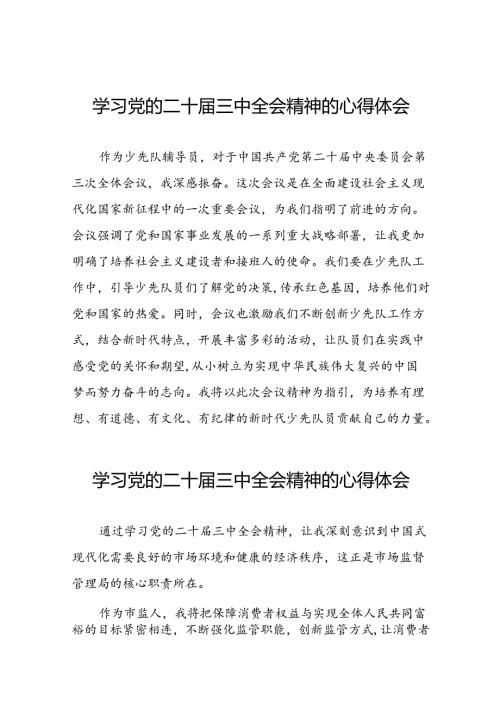 2024年学习二十三中全会精神心得感悟范文二十七篇.docx