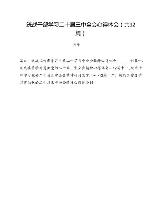 统战干部学习二十三中全会心得体会12篇（详细版）.docx