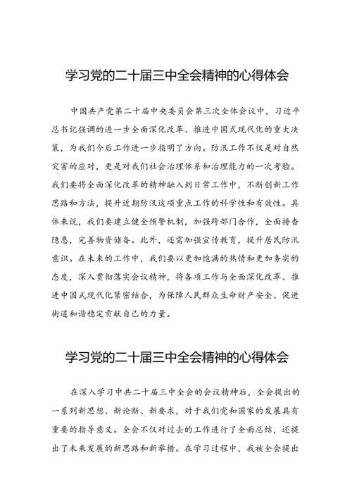 二十三中全会精神的学习感悟合集三十六篇.docx