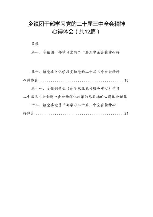 乡镇团干部学习党的二十三中全会精神心得体会（共12篇）.docx
