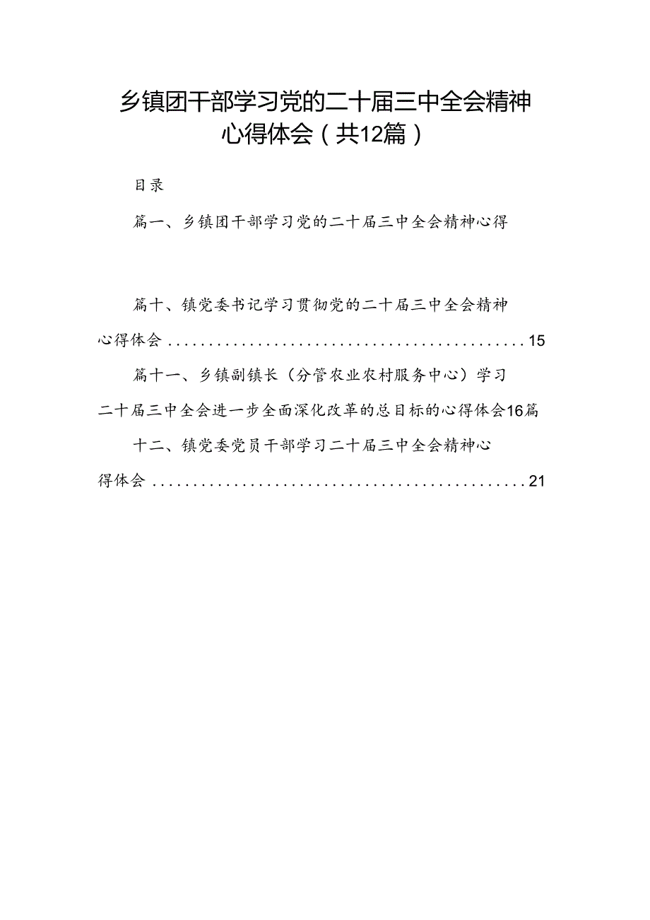 乡镇团干部学习党的二十三中全会精神心得体会（共12篇）.docx_第1页