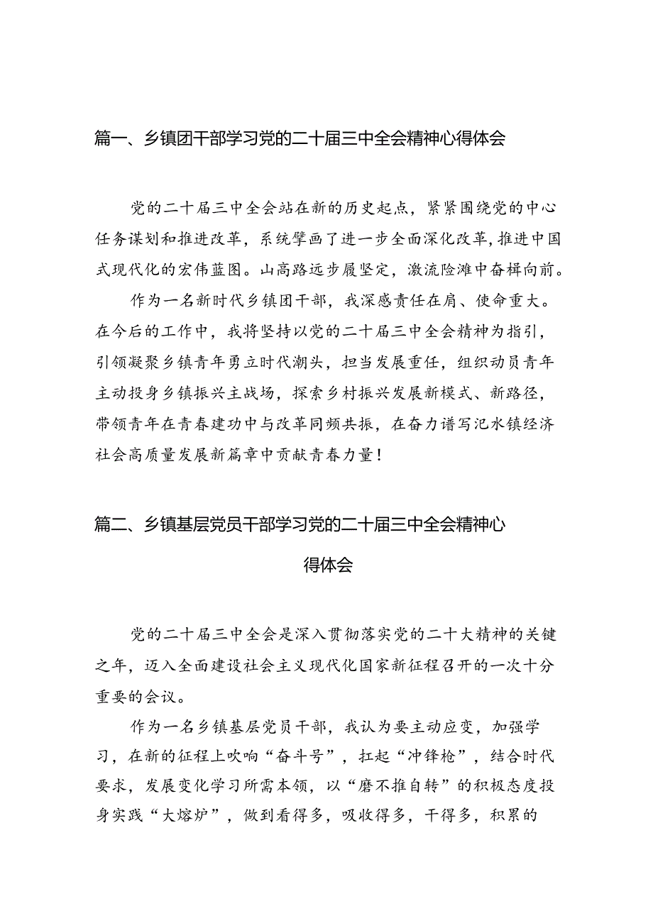 乡镇团干部学习党的二十三中全会精神心得体会（共12篇）.docx_第2页