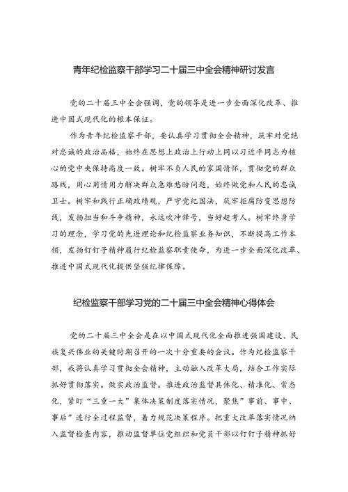 （9篇）青年纪检监察干部学习二十三中全会精神研讨发言（精选）.docx