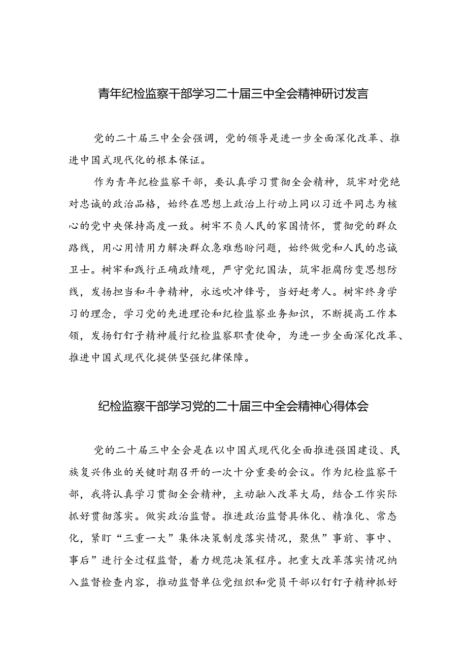 （9篇）青年纪检监察干部学习二十三中全会精神研讨发言（精选）.docx_第1页
