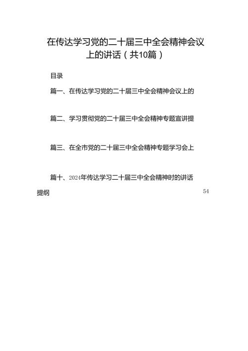 （10篇）在传达学习党的二十三中全会精神会议上的讲话（最新版）.docx