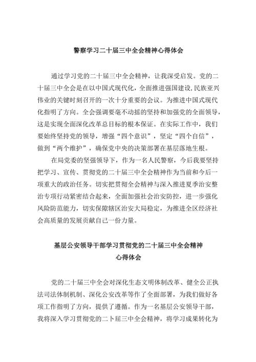 （11篇）警察学习二十三中全会精神心得体会优选.docx
