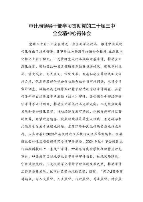 (5篇)审计局领导干部学习贯彻党的二十三中全会精神心得体会（精选）.docx