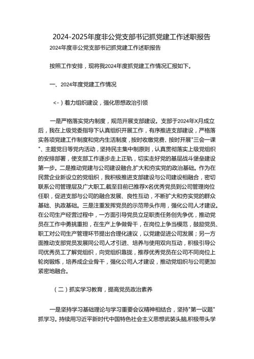 20242025非公党支部书记抓党建工作述职报告.docx